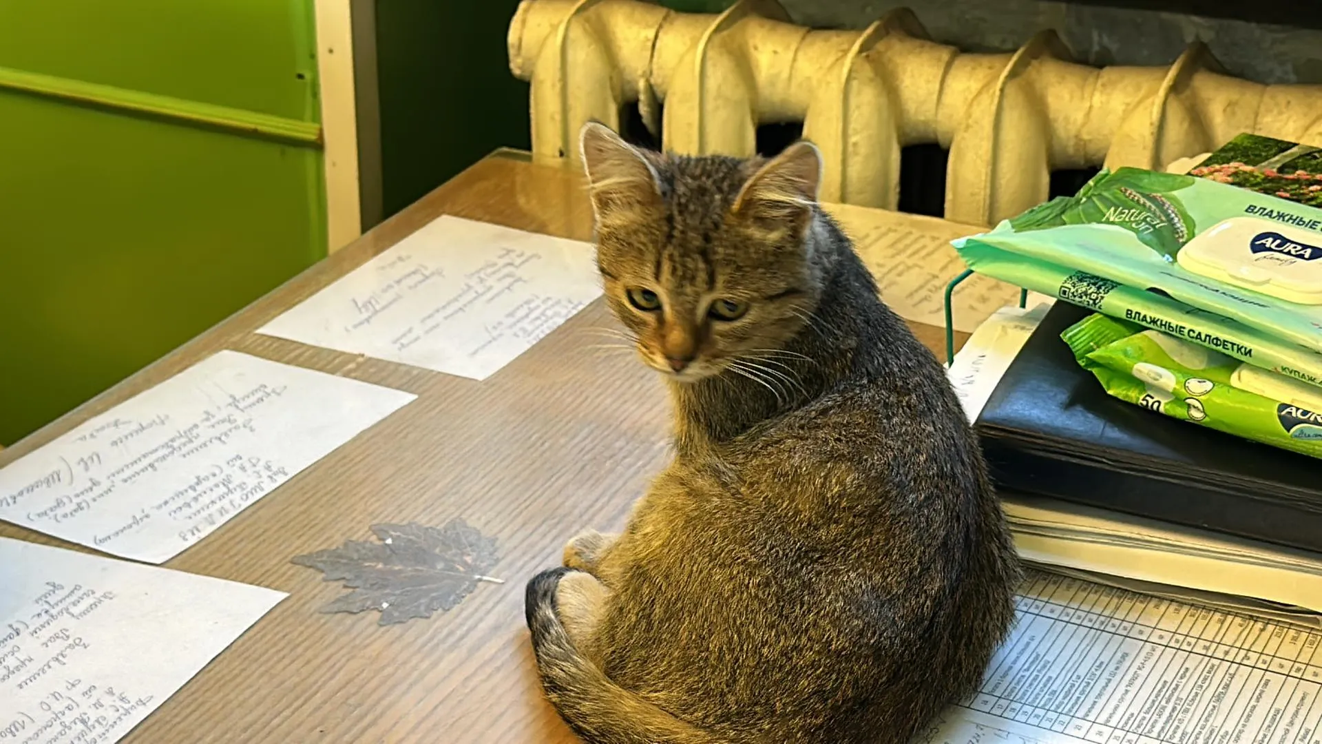 Мария Шматкова