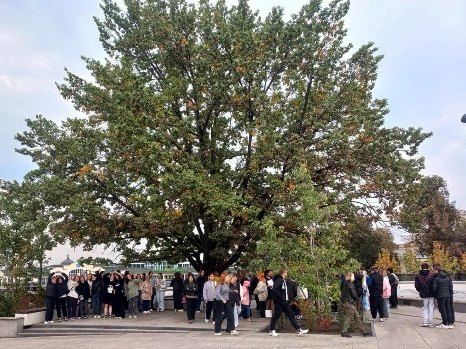 Фото: ногинский филиал государственного университета просвещения<br>