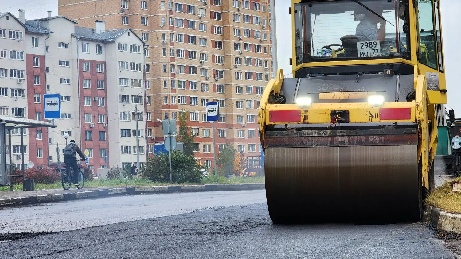 Фото: Медиабанк Подмосковья/Валерия Тингаева