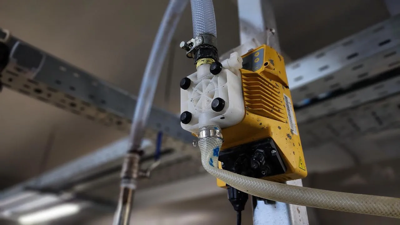 МедиаБанк Подмосковья/Екатерина Данилина