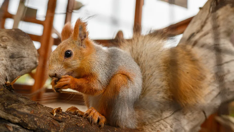 Фото: медиасток.рф