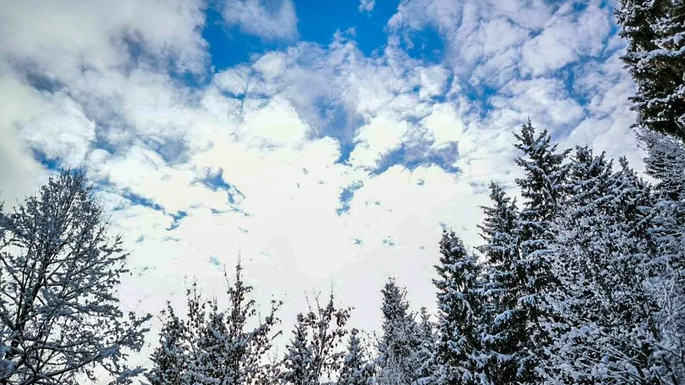 Фото: REGIONS/Роман Малышенко