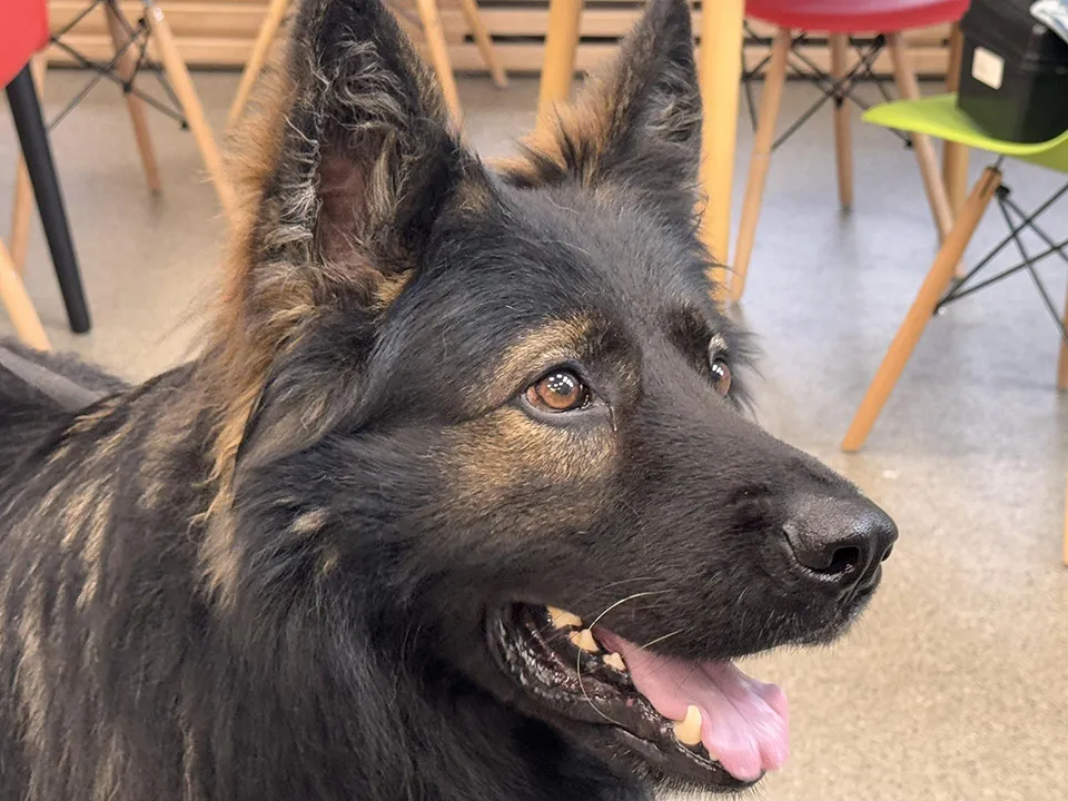 Фото: REGIONS/Мария Шматкова