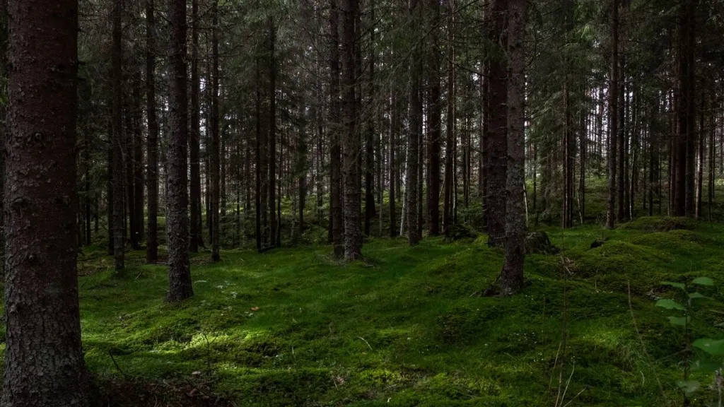 Фото: freepik.com