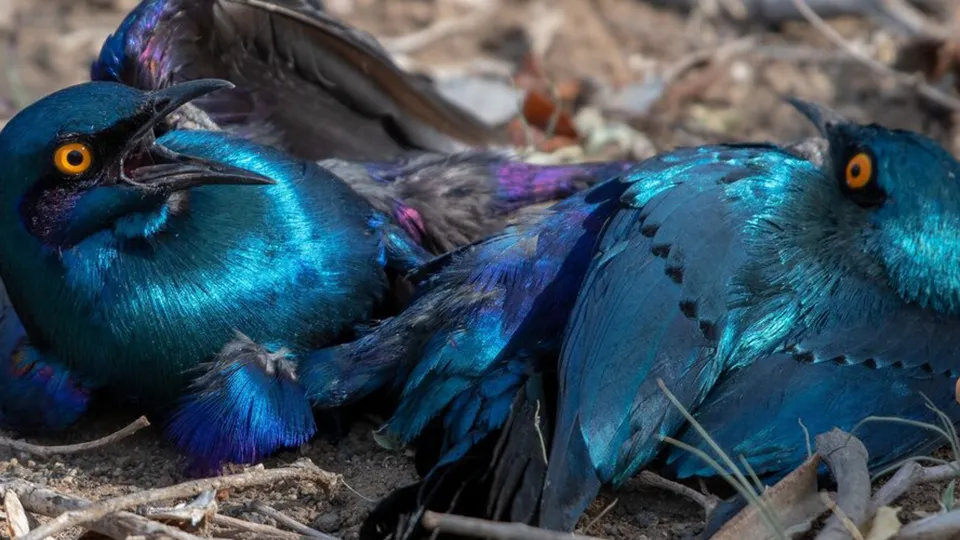 Фото: freepik.com