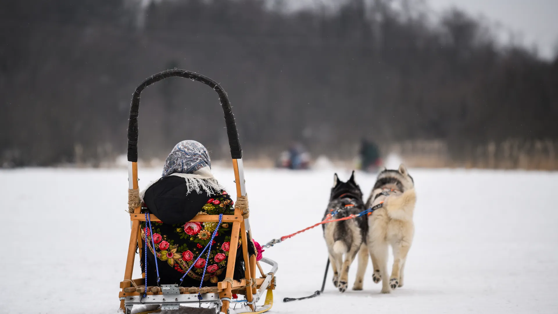 медиасток.рф