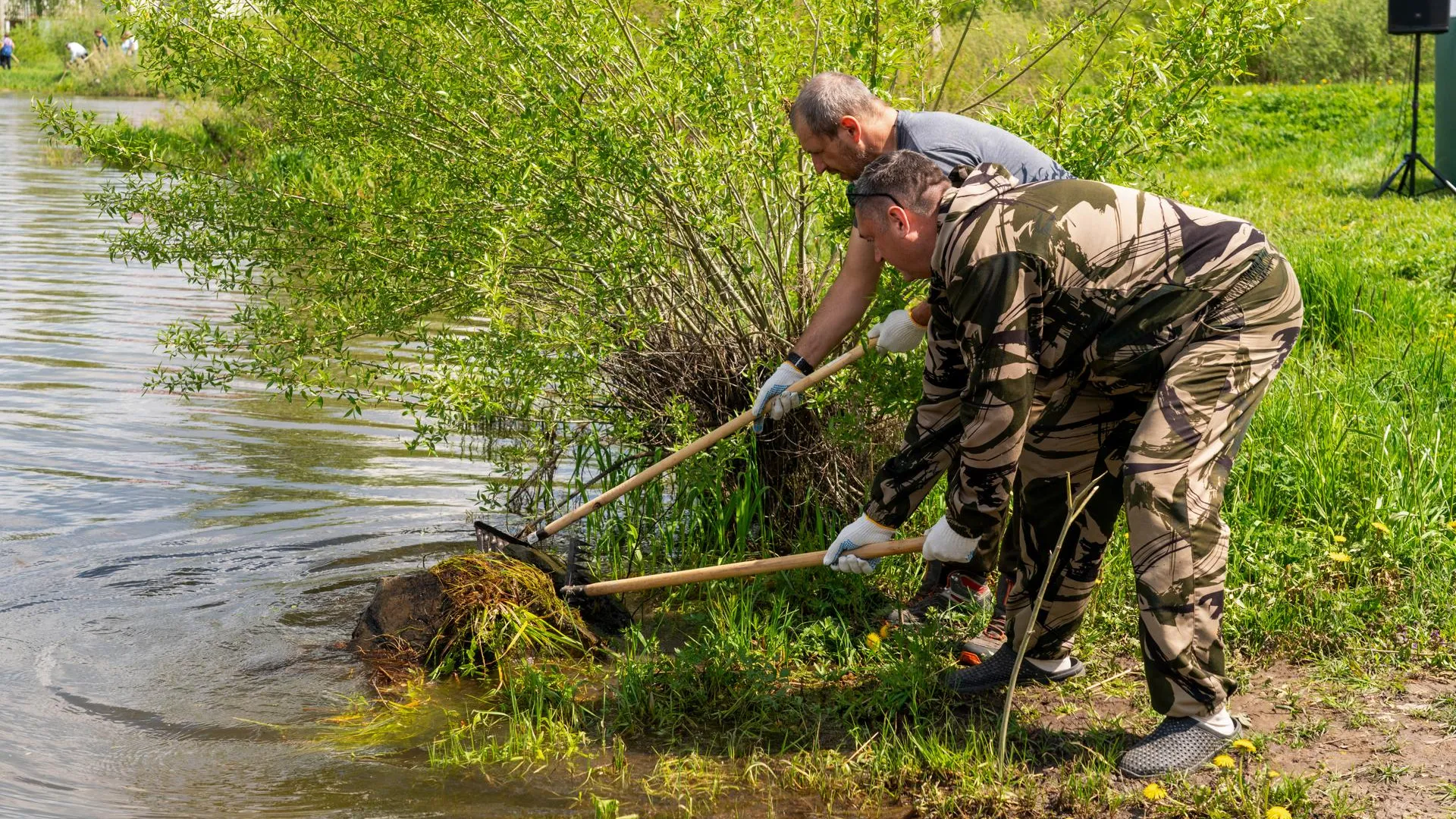 Более 70 км берегов очистили в Рязанской области в рамках акции «Вода России»