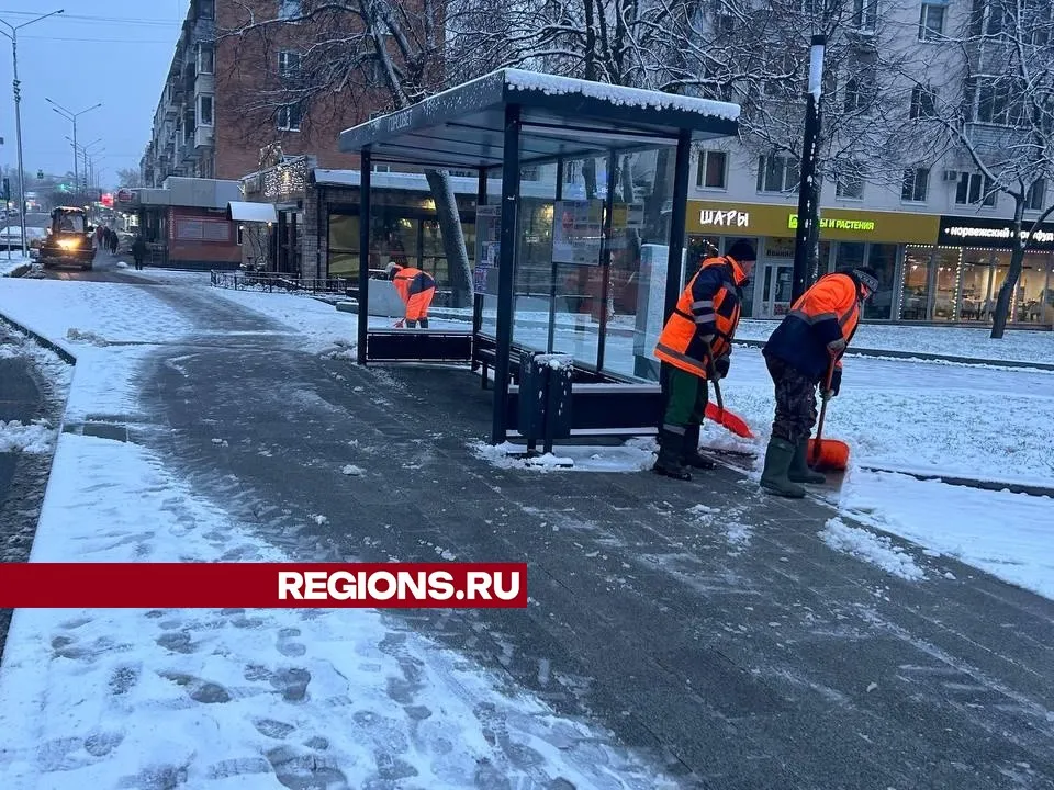 Фото: Ольга Шеметова