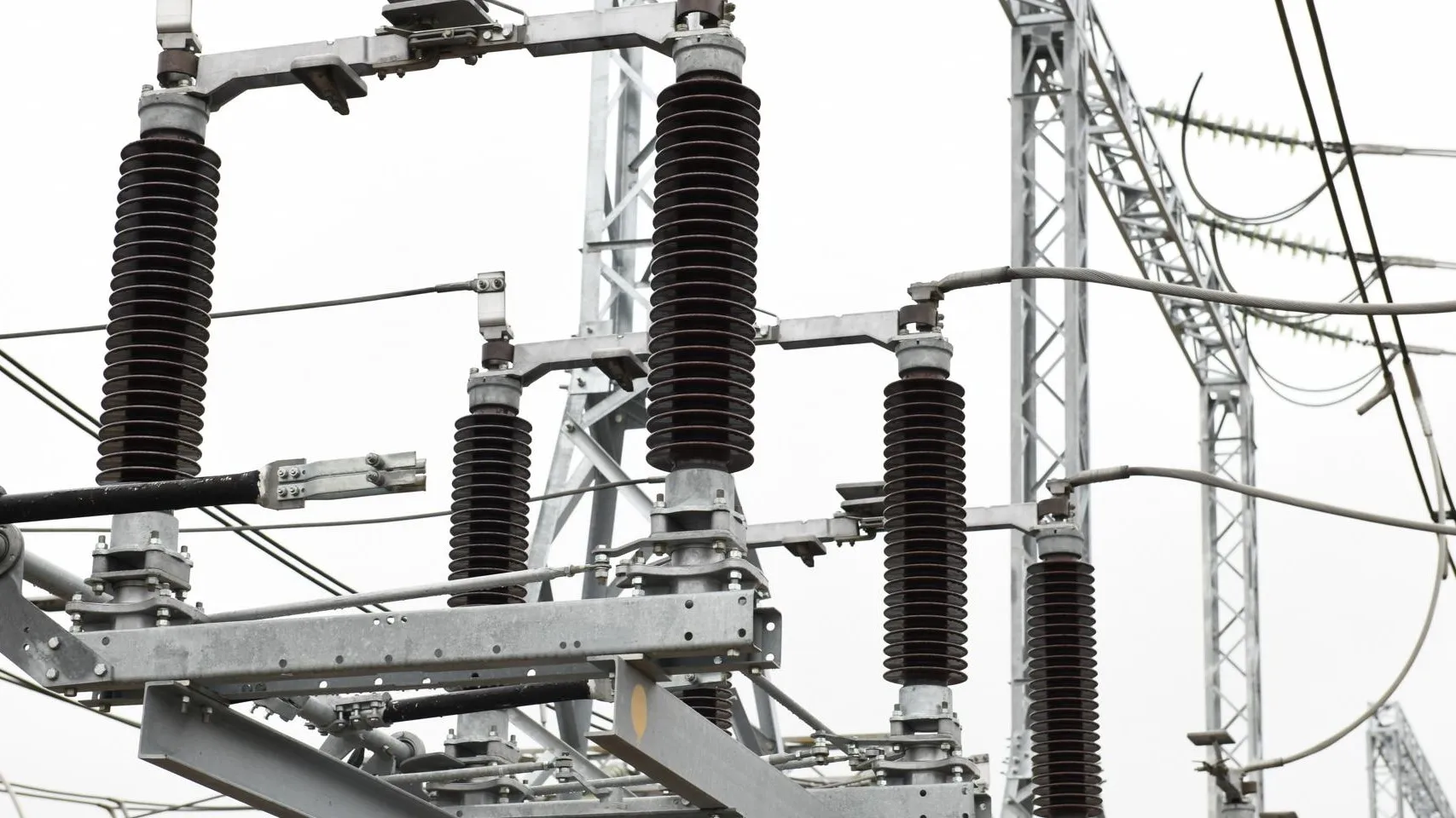 Фото: пресс-служба Администрации г.о. Дмитров