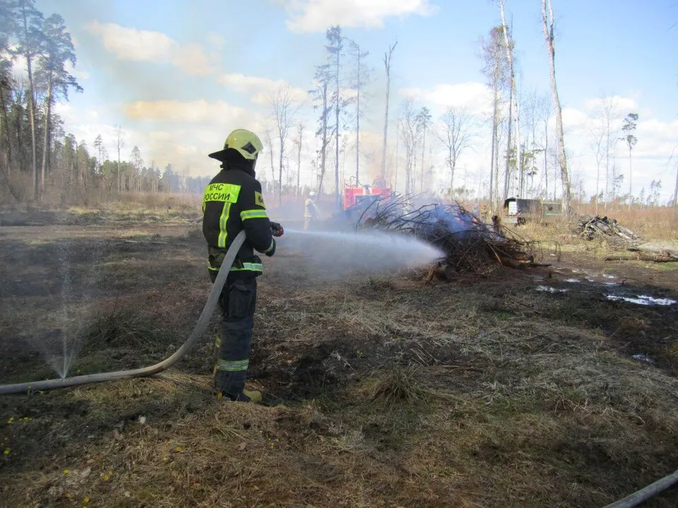 Фото: пресс-служба администрации г.о. Балашиха