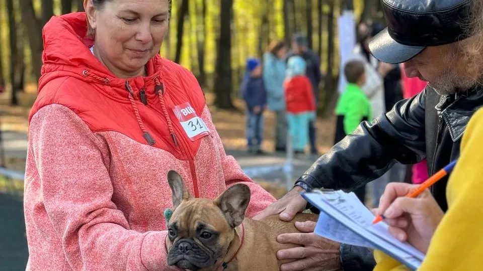 Фото: парк «Скитские пруды»