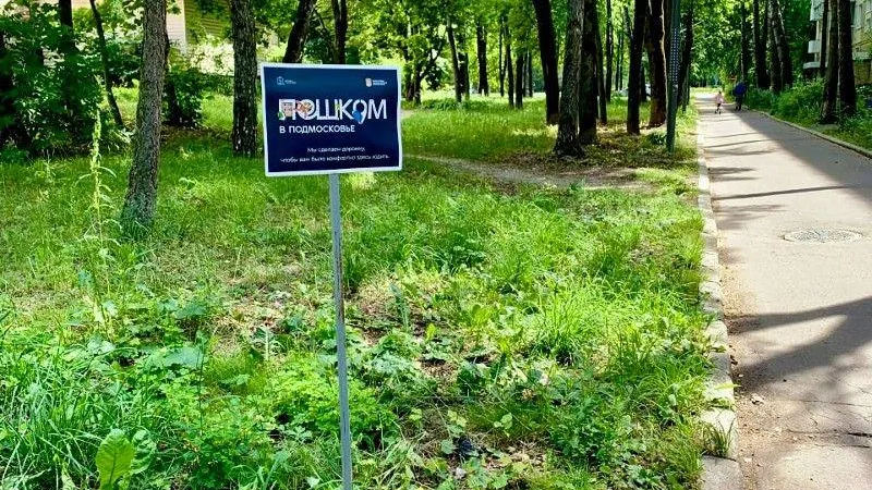 В Подмосковье обустроили уже 221 дорожку в рамках проекта «Пешком»