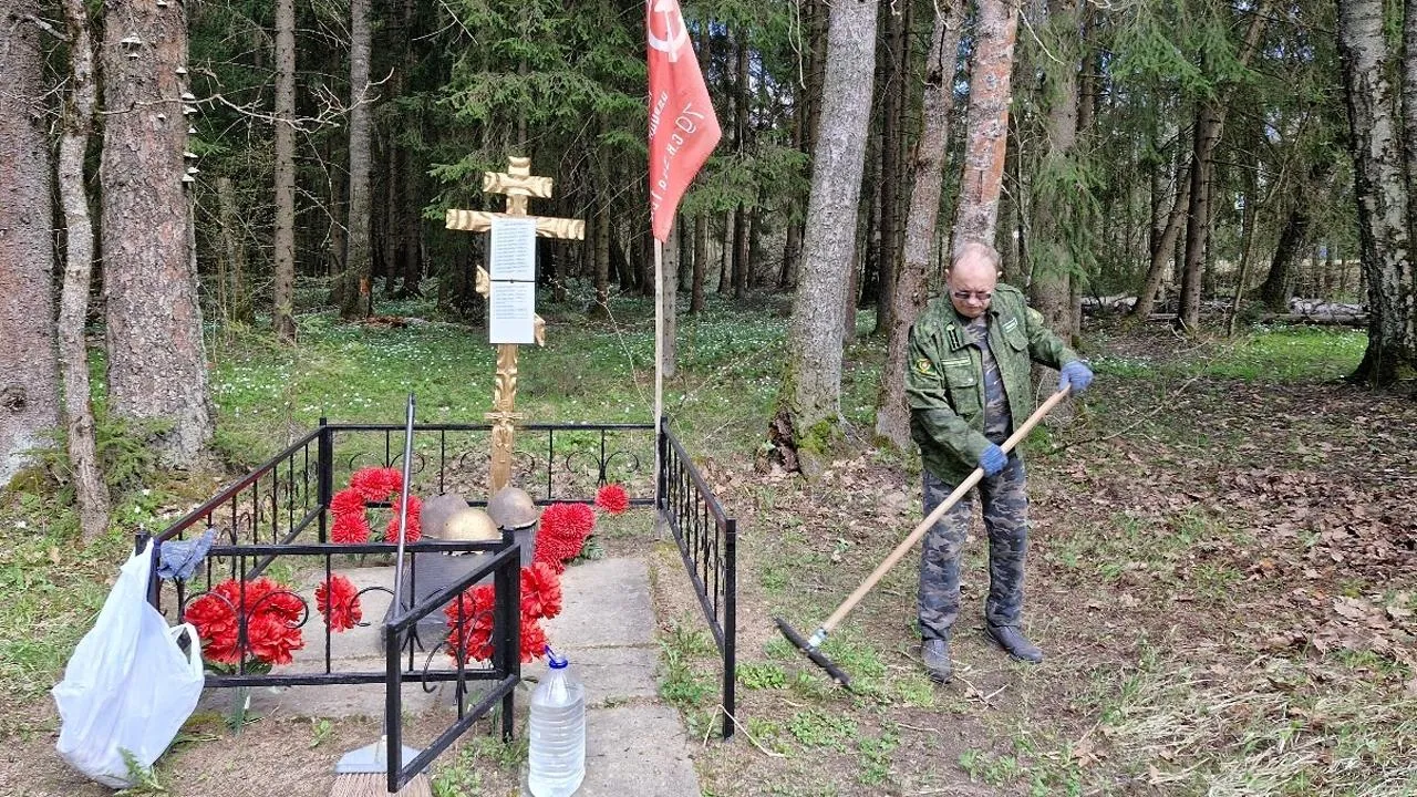 Картинка