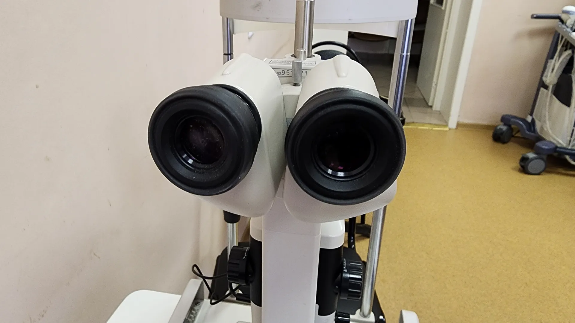 Фото: Евгений Лавряшин