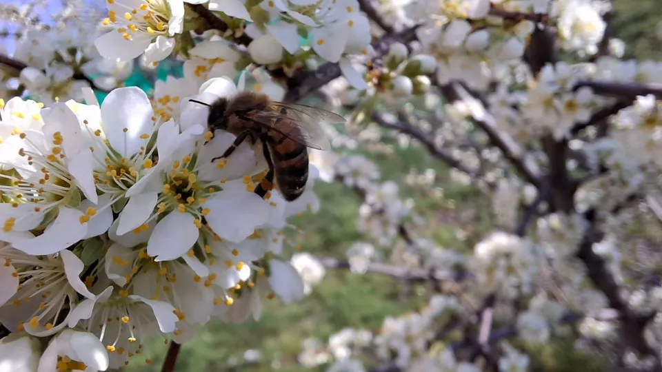 Фото: REGIONS/Юлия Габбасова