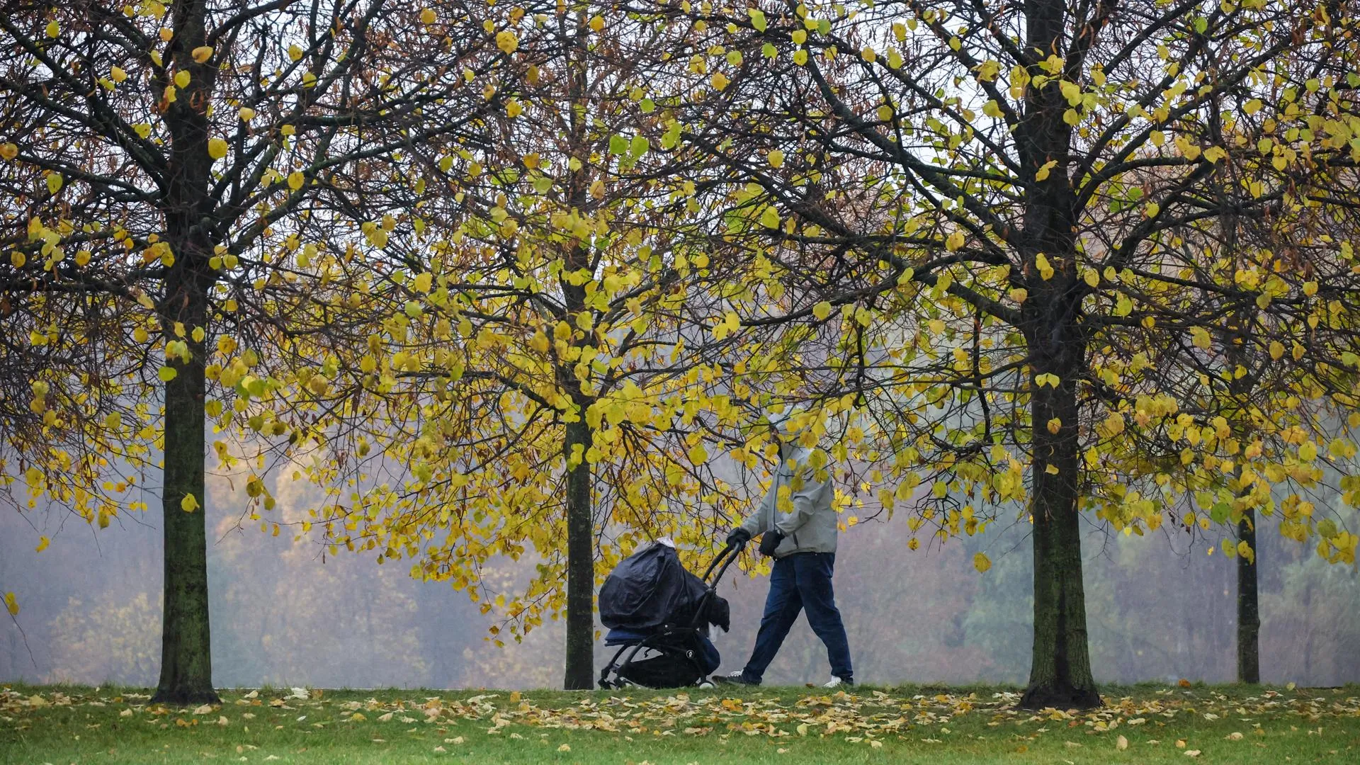 Belkin Alexey/news.ru