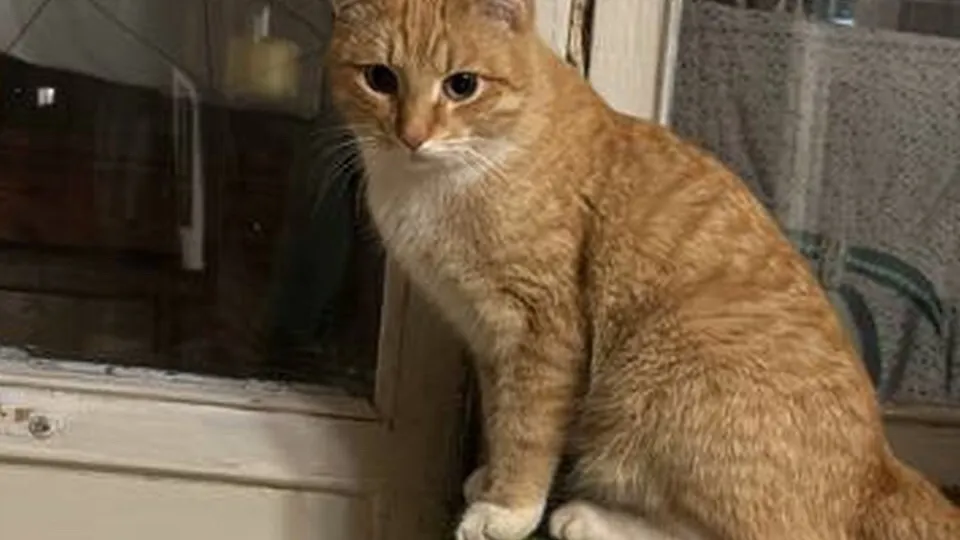 Фото: личный архив волонтера