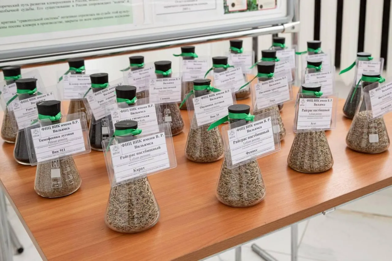 пресс-служба администрации городского округа Лобня