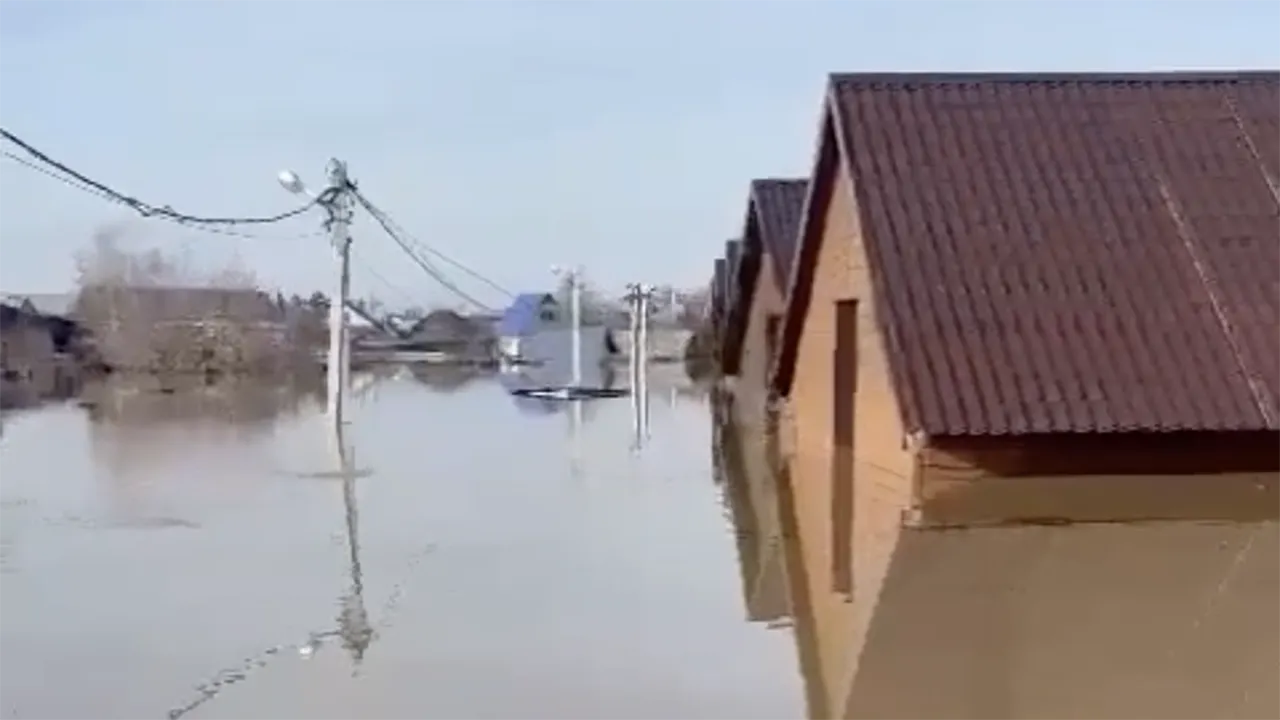Соцсети