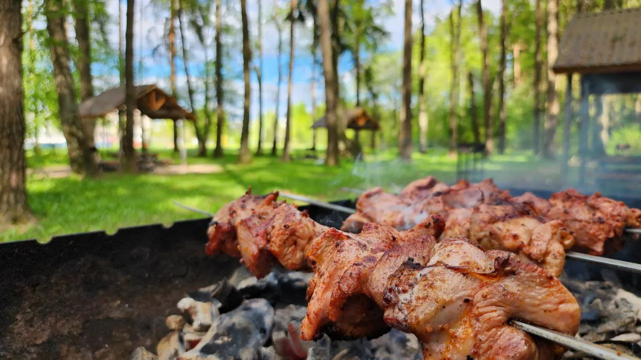 Фото: МедиаБанк Подмосковья/Яна Шаливская