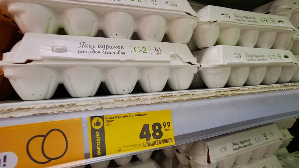 Фото: REGIONS/Алексей Селиверстов