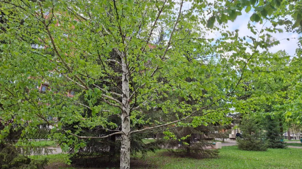 Фото: REGIONS/Юлия Габбасова