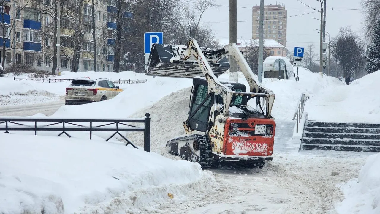 REGIONS/Мария Шигорева