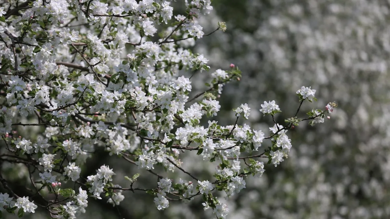 медиасток.рф