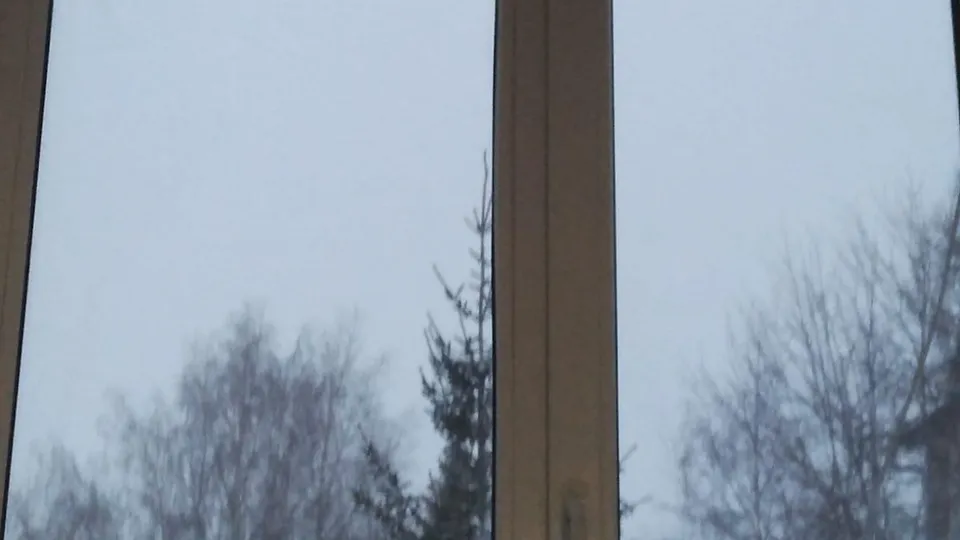 Фото: Администрация городского округа Шаховская