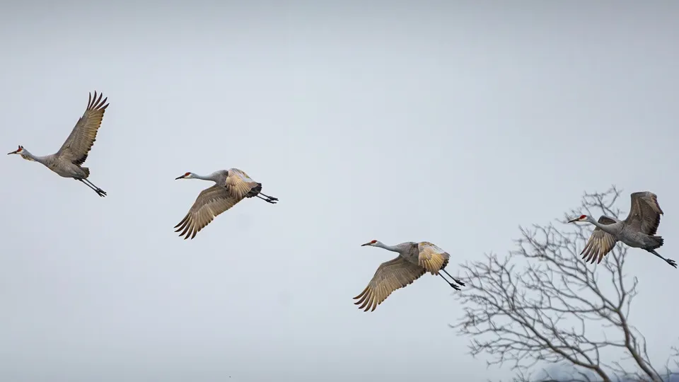 Фото: freepik.com