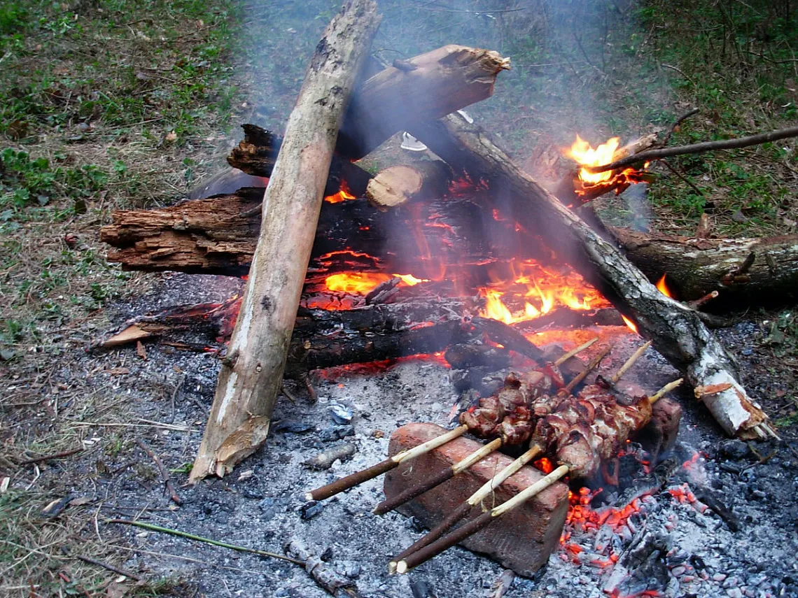 Фото: Freepik&nbsp;&nbsp;