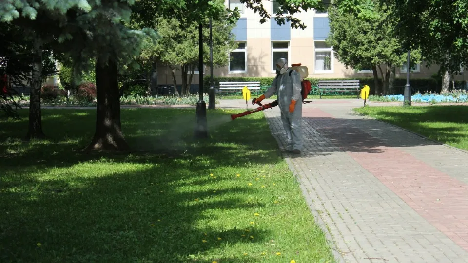 Фото: пресс-служба администрации г.о. Химки