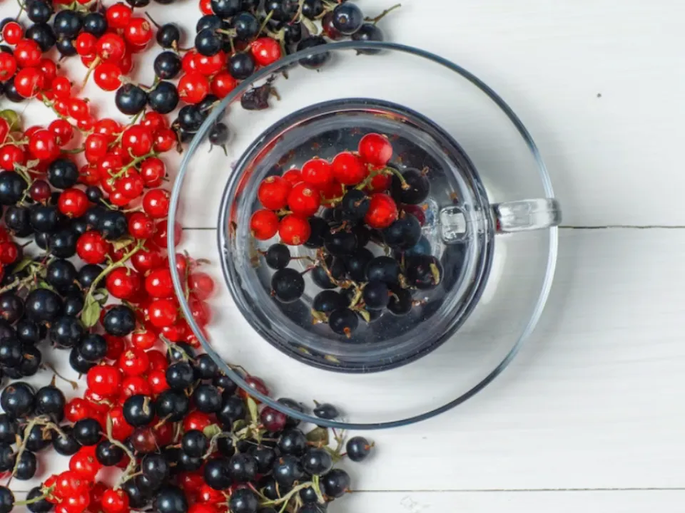 Стало известно, какая смородина спасает от рака и радиации