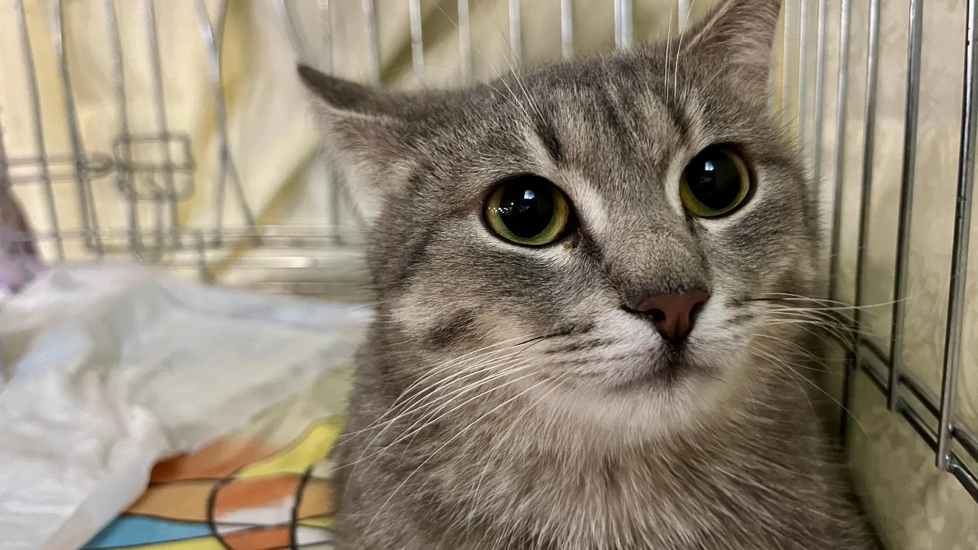 Фото: Анна Тюрюмина