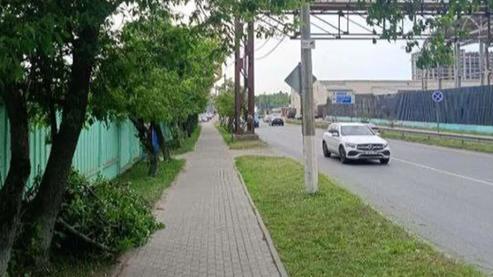 Фото: пресс-служба администрации г.о. Пушкинский