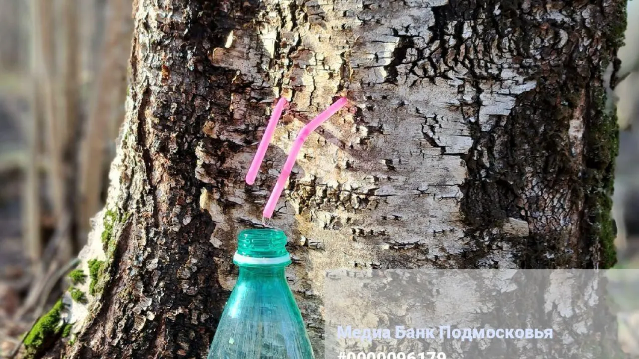 МедиаБанк Подмосковья/Игорь Панов