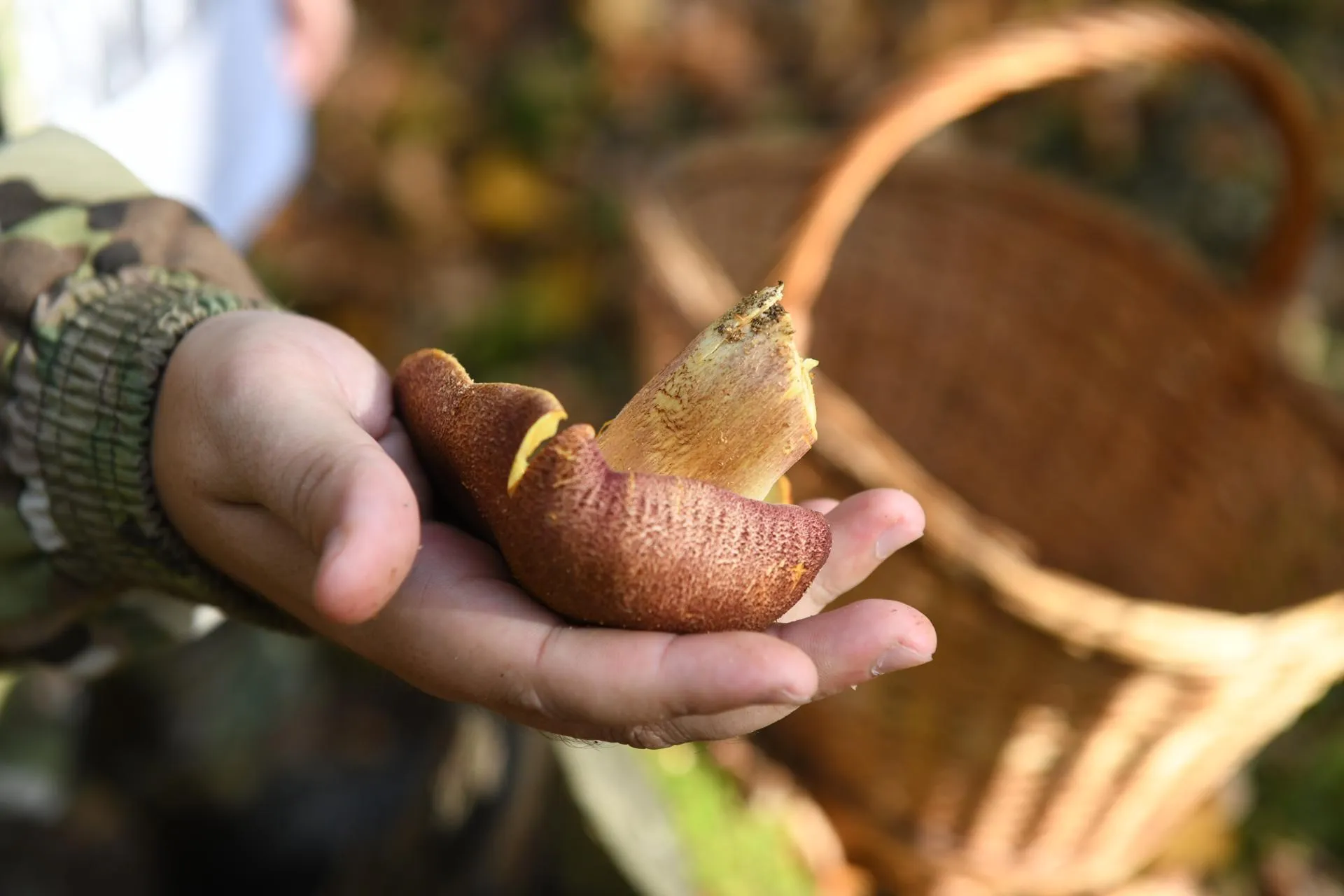 Фото: Анастасия Харченко