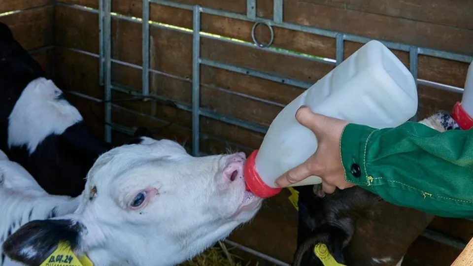 Фото: Группа компаний «ЭкоНива»
