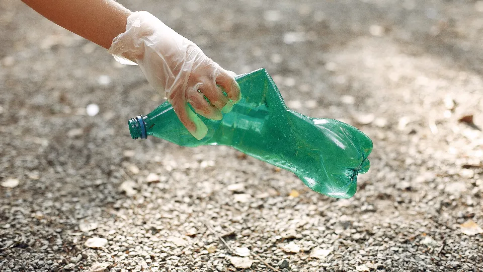 Фото: freepik.com