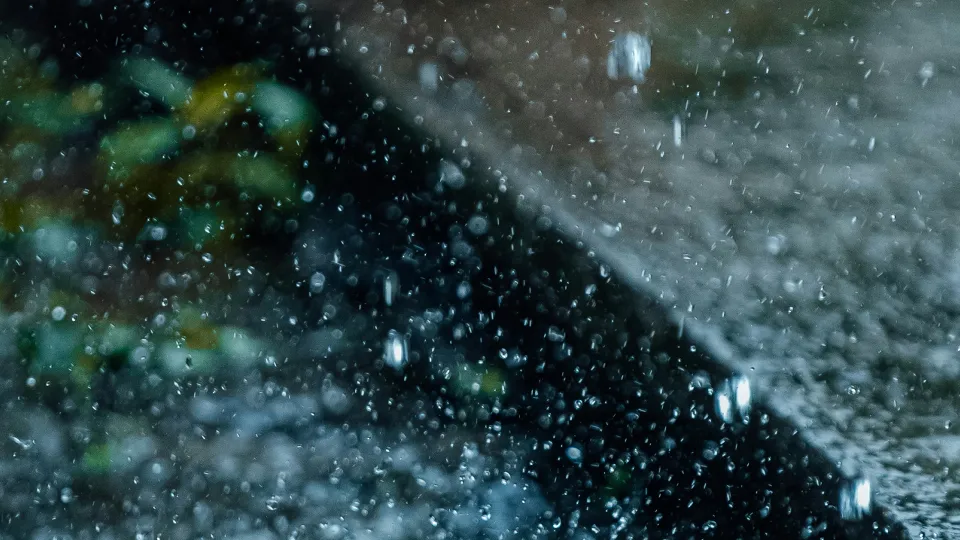 Фото: unsplash.com