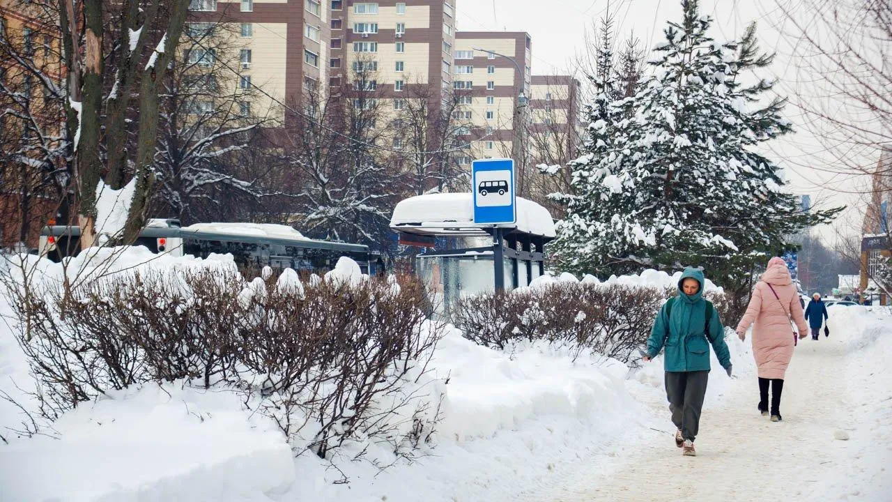 REGIONS/Сергей Шешин