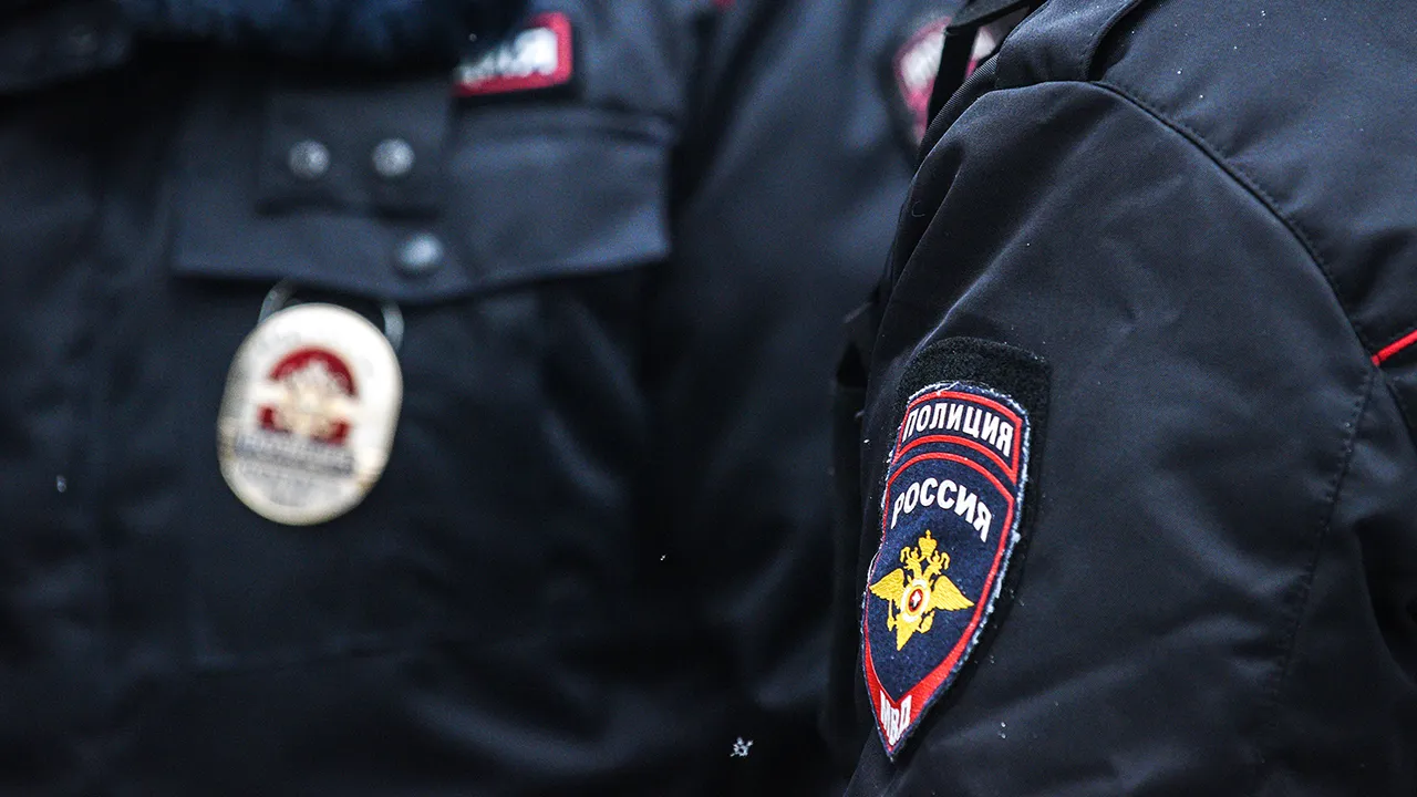 Фото: Медиаархив Подмосковья