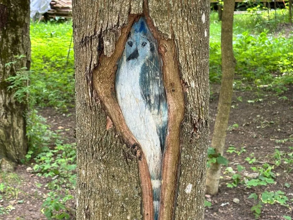 Фото: МБУК  «Городской парк культуры и отдыха»