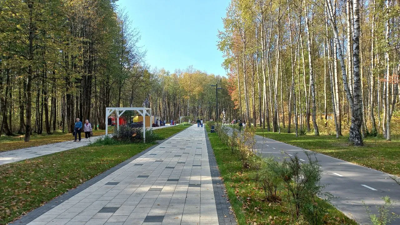 Фото: Олег Книжник