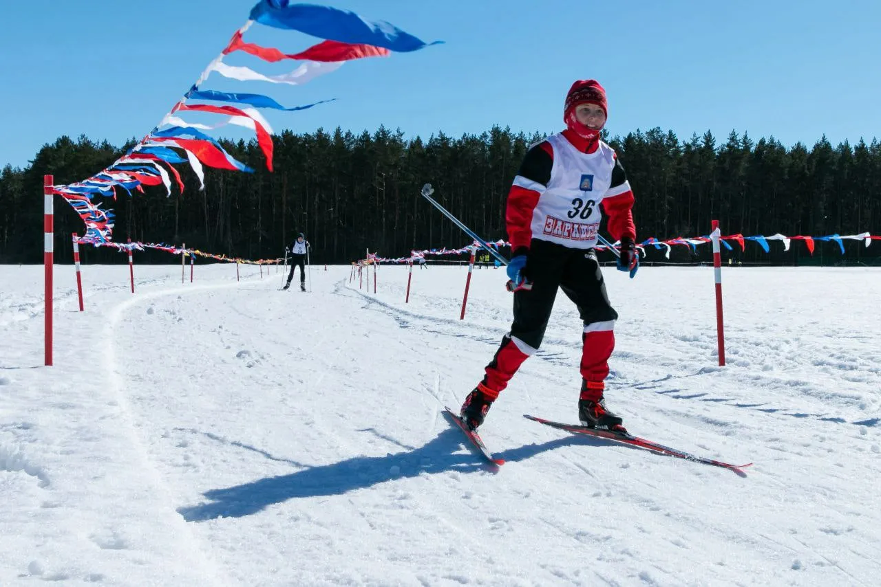 Фото: пресс-служба администрации г.о. Зарайск (архив)