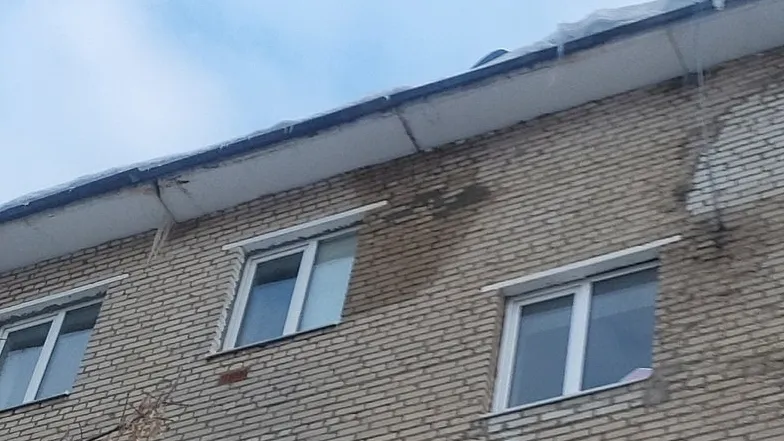 Фото: социальные сети