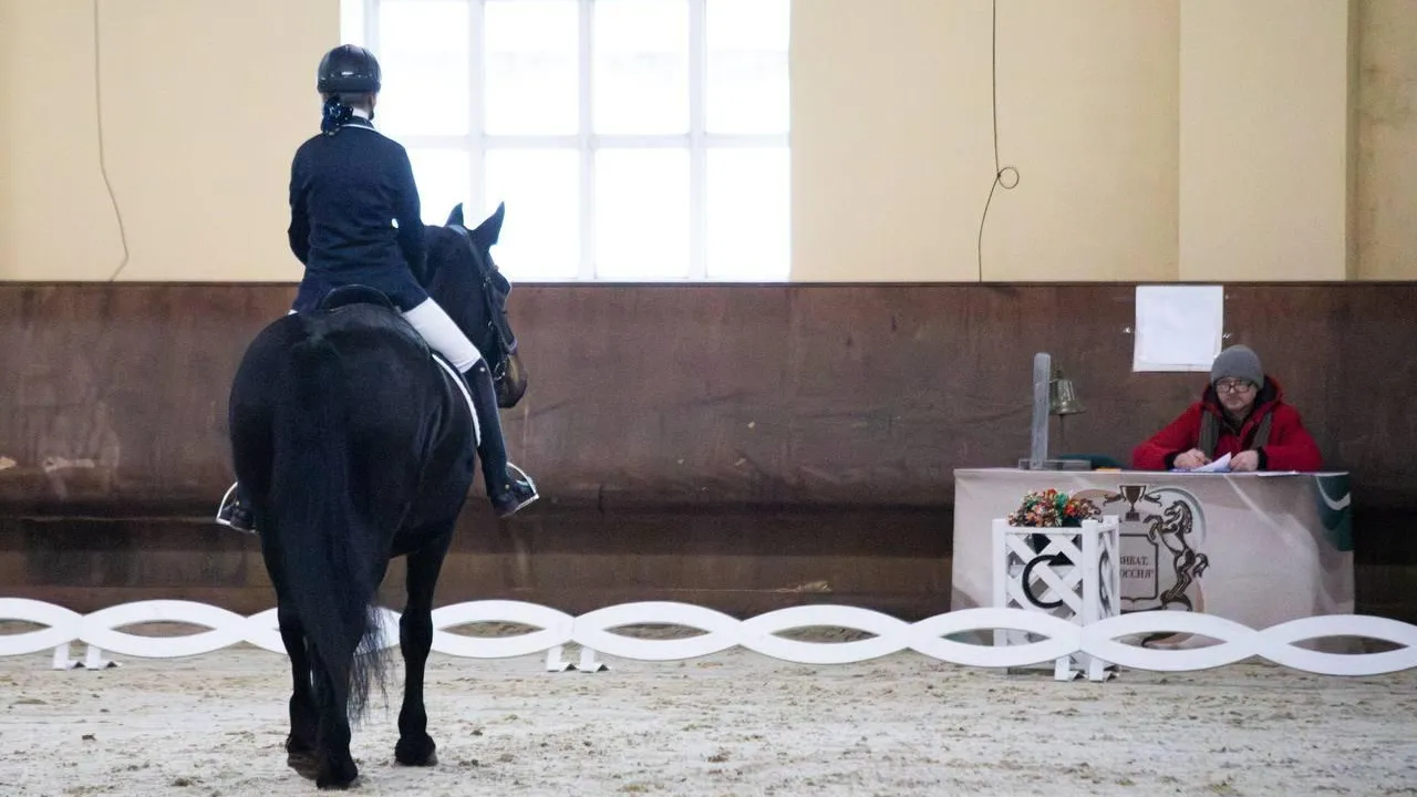 ГБСУСО МО "Семейный центр имени А.И. Мещерякова"