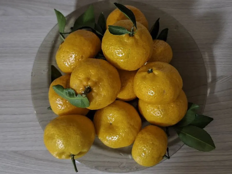 Фото: Юлия Габбасова