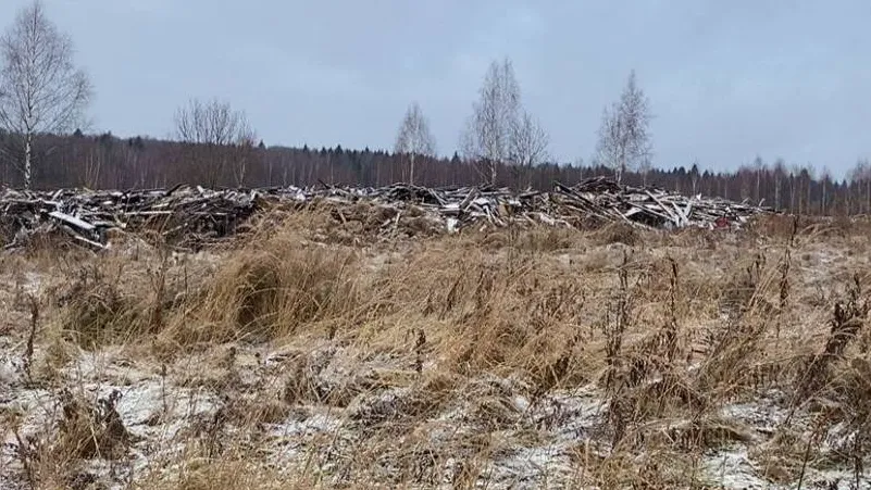Фото: пресс-служба администрации Сергиево-Посадского г.о.
