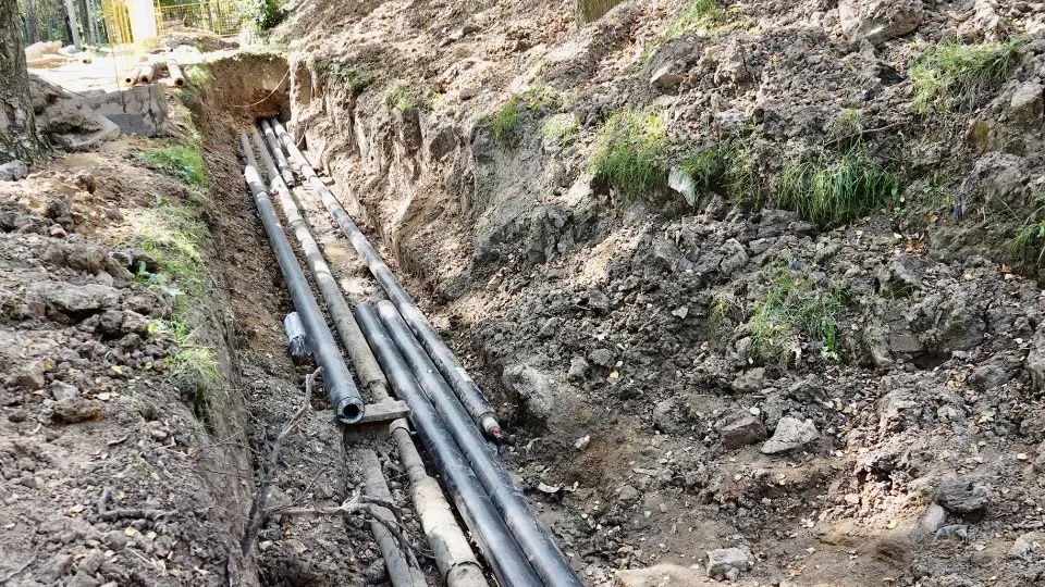 Фото: Дарья Леонова